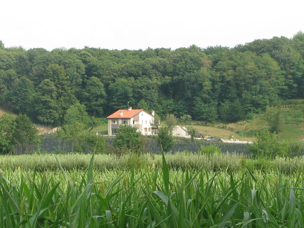 B&B CasaMela Paderno del Grappa Bagian luar foto