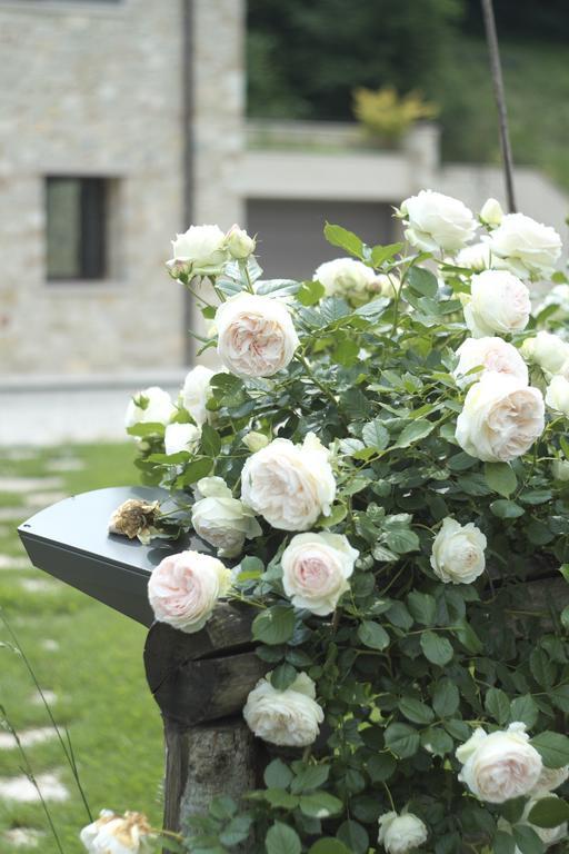 B&B CasaMela Paderno del Grappa Bagian luar foto