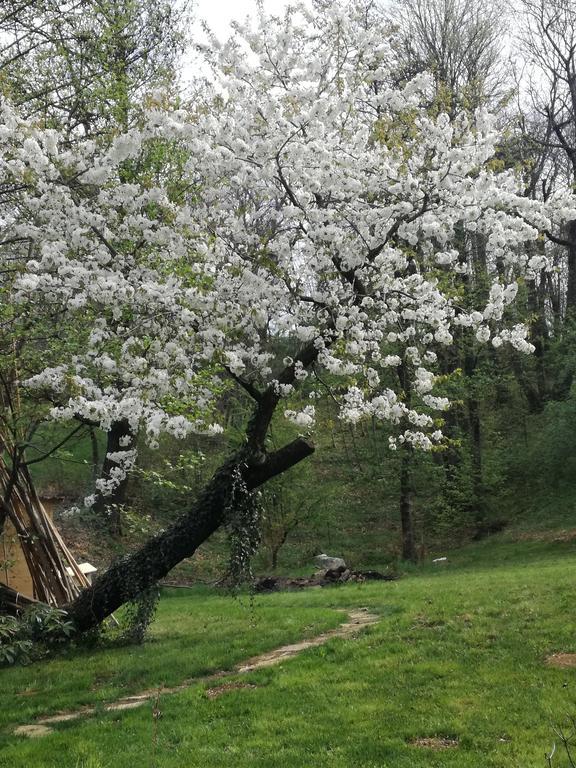 B&B CasaMela Paderno del Grappa Bagian luar foto